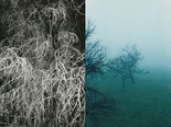 Trees, 1988/2024

Analoge Fotografie digitalisiert, 45 x 60 cm, gerahmt
1/5 + 2 AP, rückseitig signiert

Ausrufpreis: 450,-