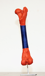 ones own, 2019

Ziegenknochen, Faden, bemalt, 3,5 x 23 cm
Box signiert und beschriftet

AUSRUFPREIS: 150.-