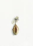 Passionsblume, 2019

Aquarellfarbe und Bleistift auf Papier, 26,9 x 19 cm, gerahmt mit Museumsglas
rückseitig signiert

Ausrufpreis: 900,-
